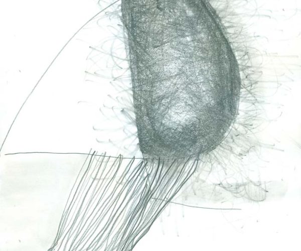 Paula Der - Dibujos - 2011
